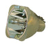 Original Philips UHP Projector Lamp for 3D Perception 400-0401-00 R9801270